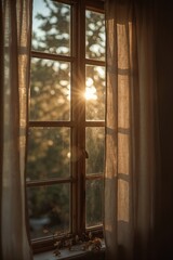 Bright Sunlight Streaming Through Multi-Pane Window with Autumn Branch