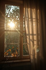 Sunlit Window with Flowing Sheer Curtains and Autumn Plant Decoration