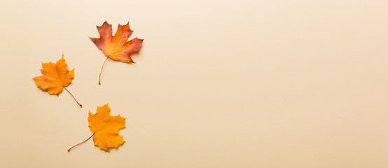 Autumn composition. Pattern made of dried leaves and other design accessories on table. Flat lay, top view
