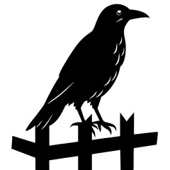 Black silhouette of a crow perched on a fence