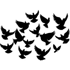 Flock of silhouetted doves flying against white background