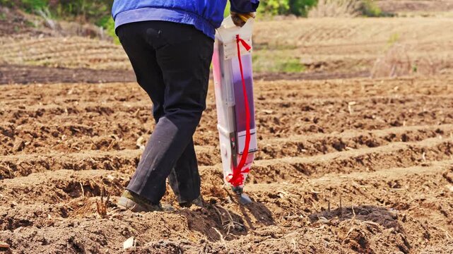 Small-scale manual sowing in Northeast China during the spring