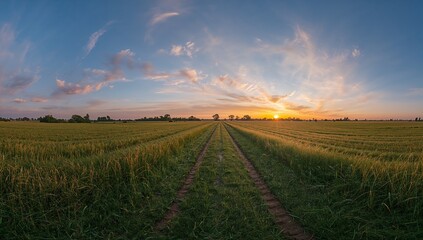 Stunning sunset over golden wheat field with path leading into the distance, peaceful rural...