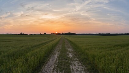 Dramatic sunset over rural countryside with path leading towards horizon, evoking peace and tranquility during golden hour