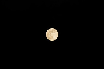 満月