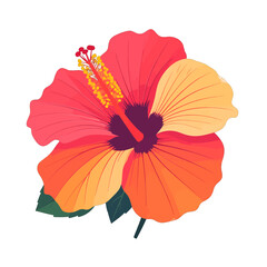 Isolated Hibiscus Flower Vector with Pink Orange Gradient Petals Dark Purple Center Yellow Stamen and Green Leaves on a White Background