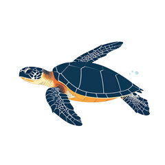 Sea Turtle Illustration With Dark Blue Shell And Orange Underbelly On White Background