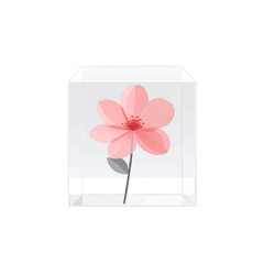 Pastel Pink Flower Illustration with Transparent Cube Isolated on White Background Minimalist Style Decorative Floral Design Simple and Elegant Flower Presentation