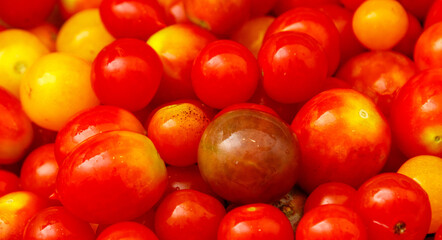 Bunch of red and yellow tomatoes