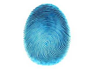 Close up of a bright blue fingerprint with intricate swirling lines isolated on transparent background