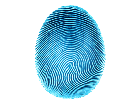 Close up of a bright blue fingerprint with intricate swirling lines isolated on transparent background