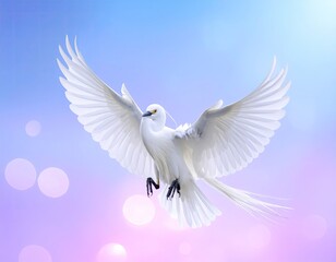 White bird glides down with outstretched wings