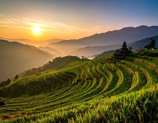 Rice terraces at sunset, mountains in background