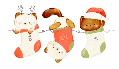 kitten in a christmas sock watercolor illustration