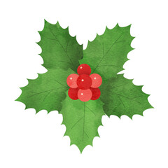 クリスマスに使える柊の葉（5枚）と赤い実の手描き水彩イラスト