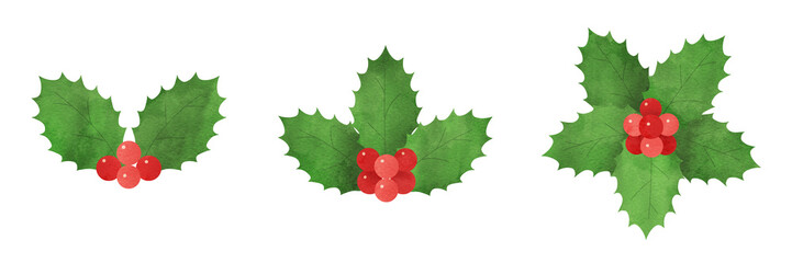 クリスマスに使える柊の葉と赤い実の手描き水彩イラストセット