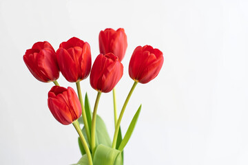 Fototapeta premium Red tulip bouquet on white background – elegant spring flowers and minimal floral composition. AI generated.