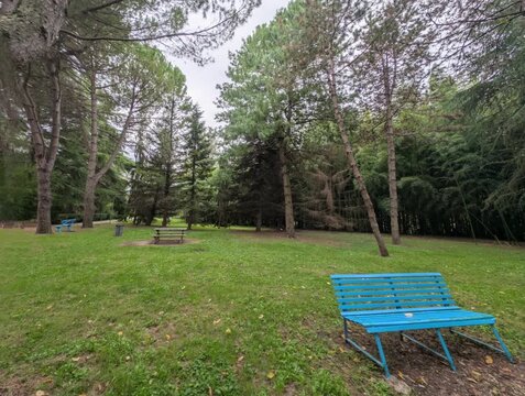 Alberi erba e panchina nel bosco didattico in Umbria