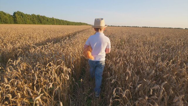 A Child Enjoying a Carefree Walk Through a Beautiful Wheat Field During a Gorgeous Sunset