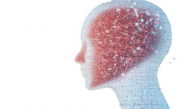 Digital human head with internal network connections showing brain activity on transparent background