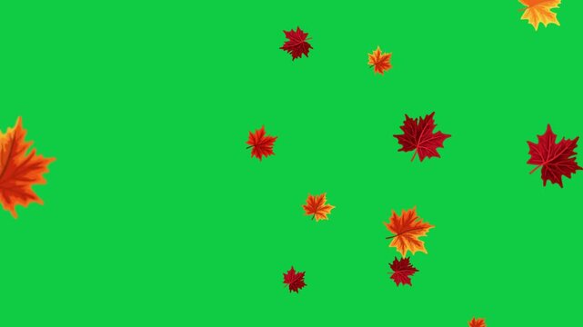Thanksgiving greeting reveal with floating autumn leaves green screen