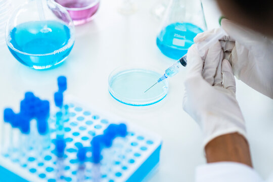 Researcher drawing liquid from petri dish in syringe at laboratory