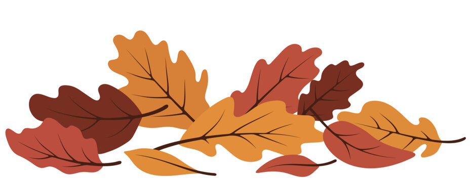 Pile of colorful autumn leaves. Fall season background. Natural seasonal decoration element for Thanksgiving or harvest festival.