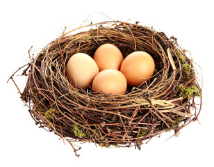 A bird's nest with several brown eggs isolated against a crisp white backdrop.