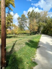 Road with Autumn Trees on Island 