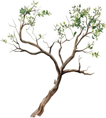 Fototapeta premium Watercolor, a simple illustration of a dry tree with green leaves, in a clip art style, on a white background.