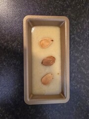 Homemade Financier, a small French cake before baking