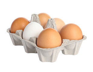 A half dozen brown eggs in an open cardboard carton, isolated on white.