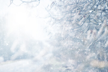 Snowy winter background in the park, blurred abstract seasonal backdrop, snowflake texture, light landscape background
