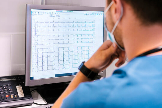 Doctor examining medical test result on computer at hospital