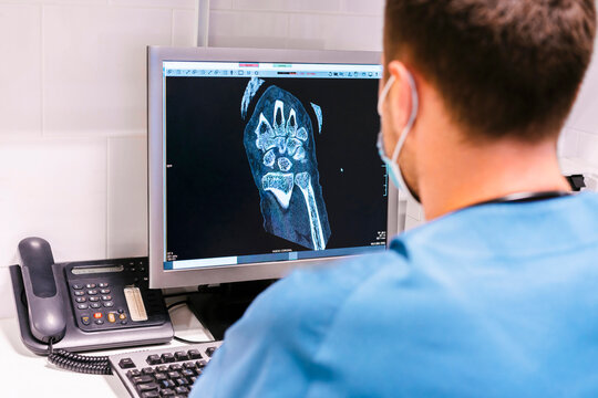 Doctor examining x-ray Image on computer at hospital