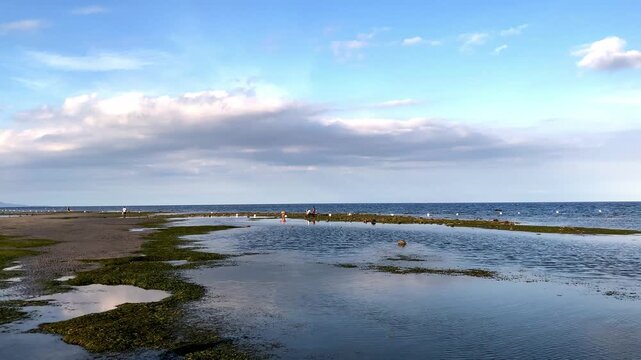At low tide, people collect algae and mollusks and arthropods, crabs run to the shallows