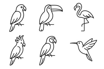 Obraz premium Outline drawings of various exotic birds including parrot, toucan, flamingo, cockatoo, hummingbird
