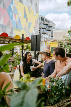 A group of people engage in urban gardening and conversation on a rooftop garden in a city.