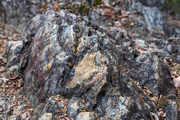 硬くて鋭い岩肌