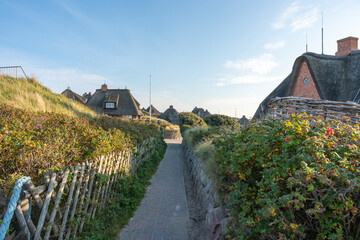A narrow brick walkway winds through coastal shrubs and fences toward thatched houses. The bright morning light creates a peaceful island mood.