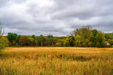 Fototapeta premium Autumn Landscape with Trees and Clouds