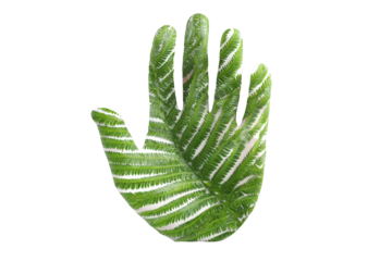 Hand with fern leaf pattern