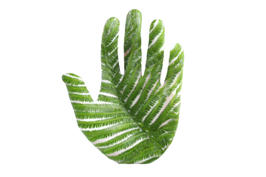 Hand with fern leaf pattern
