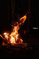 Dramatic vertical shot of a bright campfire burning stacked wood in the darkness. A stream of glowing embers shoots upward, creating a vibrant, dynamic, and moody effect.