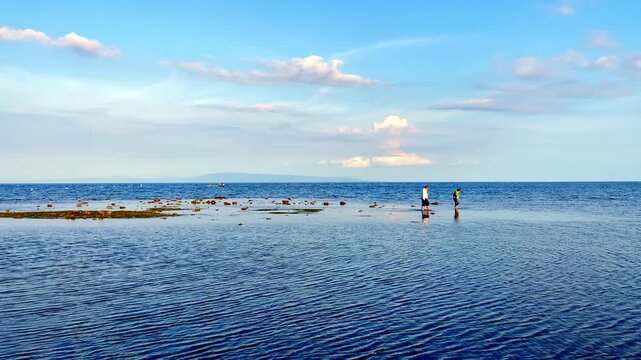 At low tide, people collect algae and mollusks and arthropods, crabs run to the shallows