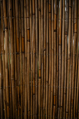 A vertical close-up of a rustic screen or fence made from dried, thin bamboo or reed stalks, tied together to create a textured, natural background pattern.
