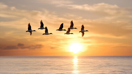 Flock of birds flying across orange sky at sunrise, creating serene atmosphere
