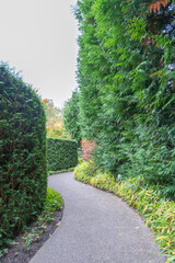 A narrow garden path winds between tall green hedges. The curved walkway leads through a serene natural corridor.