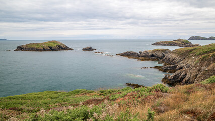Naklejka premium The spectacular Welsh coastline, from the coastal path, near St Davids, on the south west coast