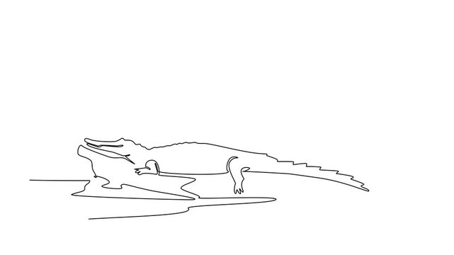 Self drawing animation of single continuous line drawing alligator on the surface of fallen tree trunk. Coming to the surface after soaking in water. National Alligator Day. Full length animated